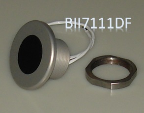 Hydrophone